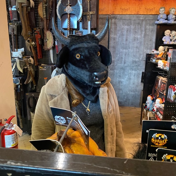 Meet your Posher, Randy - Picture 1 of 1